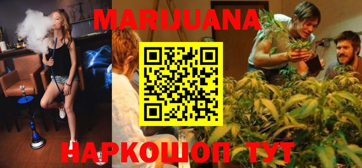 Каннабис сатива Тимашёвск